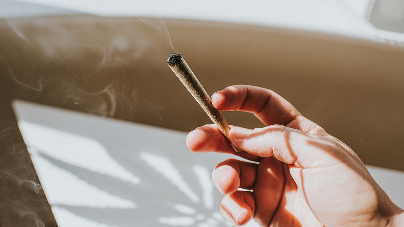 Close up of hand holding rolled up cannabis joint
