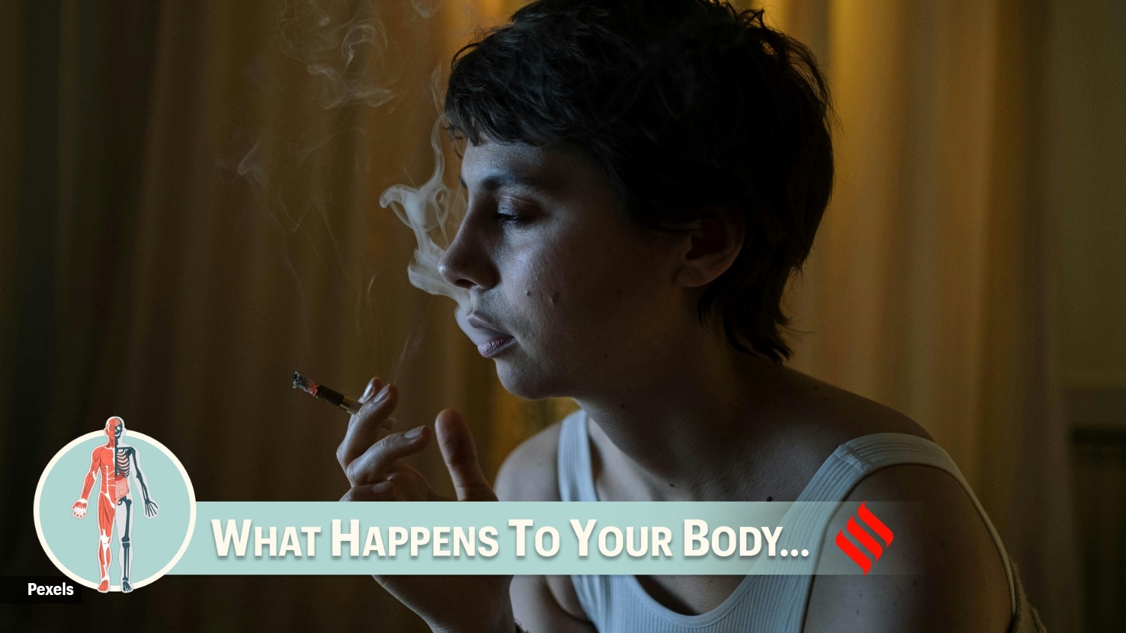 Why does a sleep-deprived body crave more smoke?